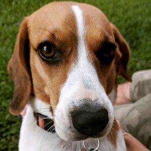 Meet your Posher, Bronwyn